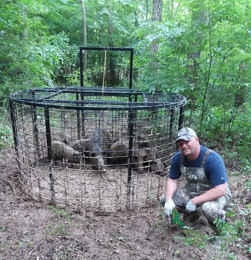 A man kneeling down next to an animal in a cage.