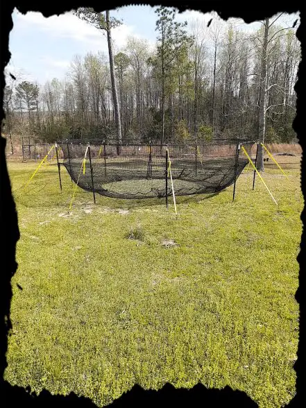 A field with trees and grass in the background.