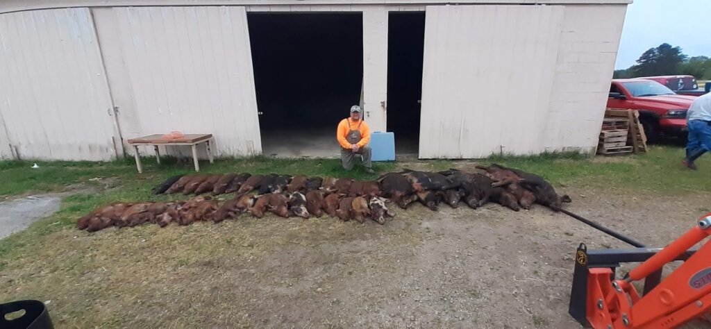 A person standing in front of some chickens